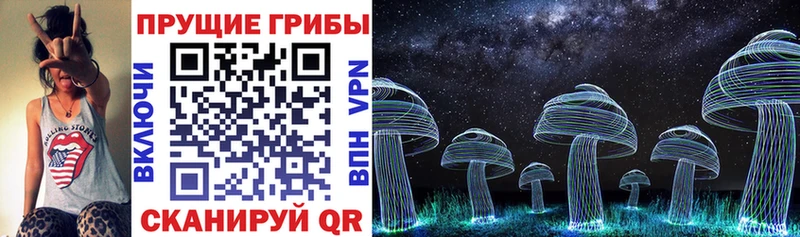 Галлюциногенные грибы мицелий как найти Белая Калитва